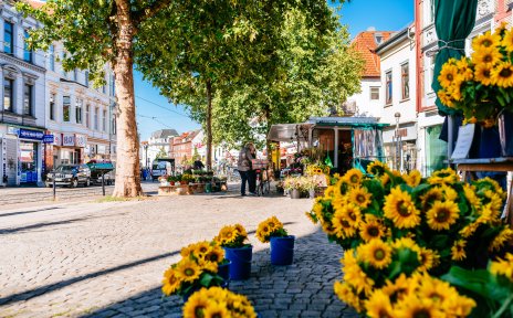 Sonnenblumen an einem Marktstand auf dem Ziegenmarkt. Sonnenblumen an einem Marktstand auf dem Ziegenmarkt.