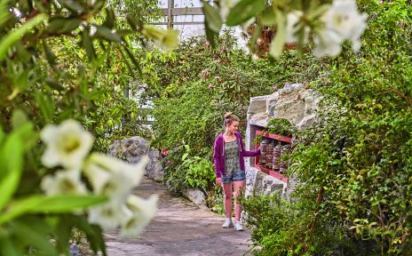 Eine junge Frau schaut sich die Gebetsmühlen in der botanika an. Sie steht in einem dicht bewachsenen Gewächshaus. Eine junge Frau schaut sich die Gebetsmühlen in der botanika an. Sie steht in einem dicht bewachsenen Gewächshaus.