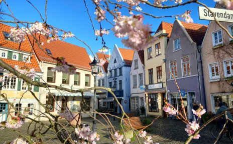 Blüten im Vorfrühling vor dem sonnigen Stavendamm im Bremer Altstadtviertel Schnoor Blüten im Vorfrühling vor dem sonnigen Stavendamm im Bremer Altstadtviertel Schnoor