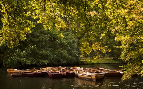 Holzboote auf dem Wasser in herbstlicher Landschaft, Quelle: Michael Becker/MicBeck Holzboote auf dem Wasser in herbstlicher Landschaft, Quelle: Michael Becker/MicBeck