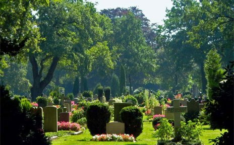 Friedhof Friedhof