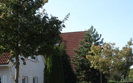 Hausdächer, im Vordergrund Bäume; Quelle: Ortsamt Seehausen Hausdächer, im Vordergrund Bäume; Quelle: Ortsamt Seehausen