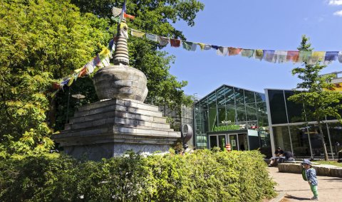 Der Eingang zur botanika mitten im Rhododendron-Park. Der Eingang zur botanika mitten im Rhododendron-Park.