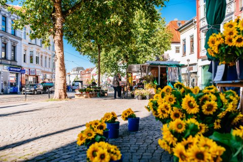 Sonnenblumen an einem Marktstand auf dem Ziegenmarkt. Sonnenblumen an einem Marktstand auf dem Ziegenmarkt.