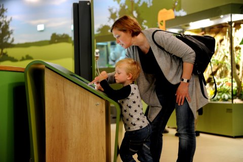 Eine Frau schaut sich mit einem Kind einen Monitor im Entdeckerzentrum an. Eine Frau schaut sich mit einem Kind einen Monitor im Entdeckerzentrum an.