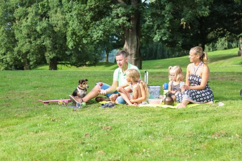 Eine vierköpfige Familie sitzt auf einer Picknickdecke im Park, einkleiner Hund schaut zu Eine vierköpfige Familie sitzt auf einer Picknickdecke im Park, einkleiner Hund schaut zu