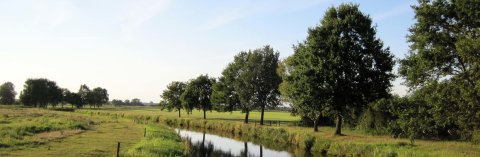 grüne Wiese mit Bäumen und Fluss grüne Wiese mit Bäumen und Fluss