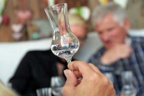 Eine Hand hält ein Schnaps-Glas empor, im Hintergrund zwei Teilnehmende eines Gin-Tastings. Eine Hand hält ein Schnaps-Glas empor, im Hintergrund zwei Teilnehmende eines Gin-Tastings.