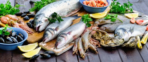 Verschiedene Fischsorten, Muscheln, Garnelen und Tintenfische liegen auf einem Tisch. Verschiedene Fischsorten, Muscheln, Garnelen und Tintenfische liegen auf einem Tisch.