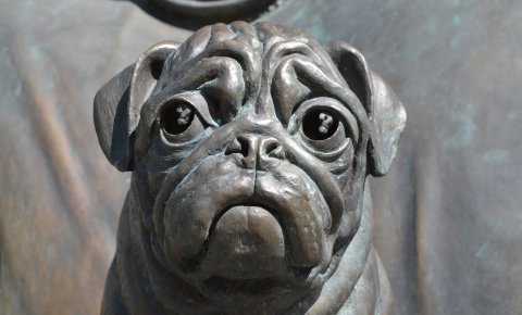 Mops aus Bronze Mops aus Bronze