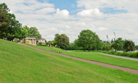 Blick auf den Osterdeich an der Weser, grüne Wiese im Vordergrund, weiter hinten das Weser-Stadion Blick auf den Osterdeich an der Weser, grüne Wiese im Vordergrund, weiter hinten das Weser-Stadion
