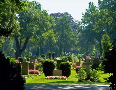 Friedhof Friedhof