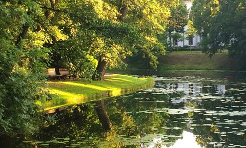 Zwei Parkbänke nebeneinander am Wasser in den Wallanlagen Zwei Parkbänke nebeneinander am Wasser in den Wallanlagen