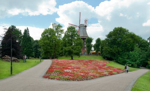Eine Mühle auf einer Erhebung, davor ein großes Blumenbeet Eine Mühle auf einer Erhebung, davor ein großes Blumenbeet