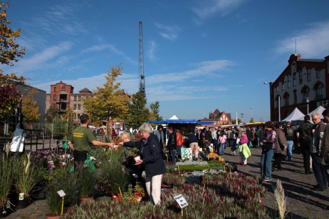 Eine Frau kauft Blumen auf dem Herbstmarkt in der Überseestadt Eine Frau kauft Blumen auf dem Herbstmarkt in der Überseestadt